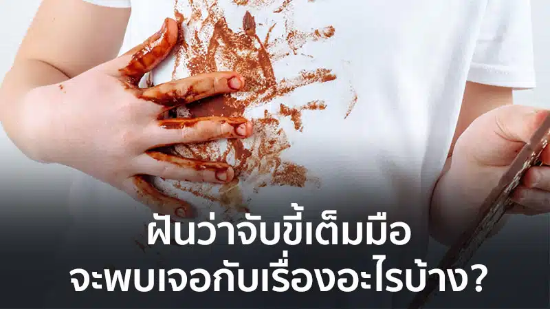 ฝันว่าจับขี้เต็มมือ