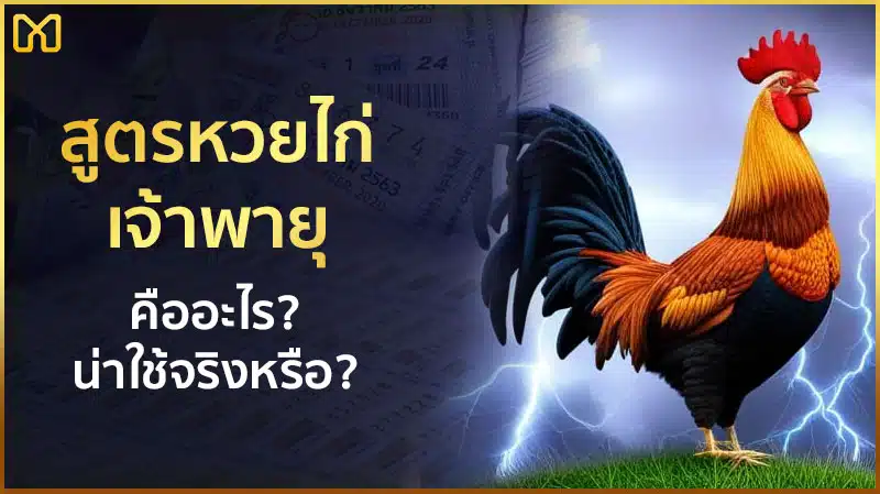 สูตรหวย ไก่ เจ้าพายุ